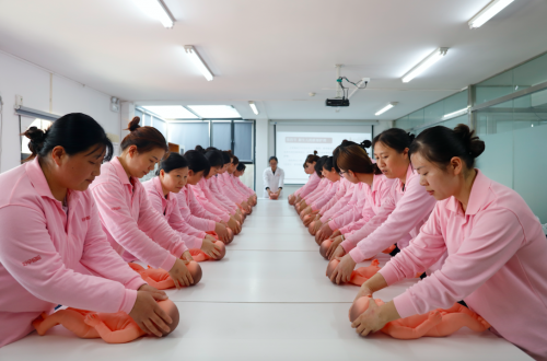 高考志(zhì)願家政專業火(huǒ)熱仍不足 蜂藍(lán)職聘全面發力補齊短闆